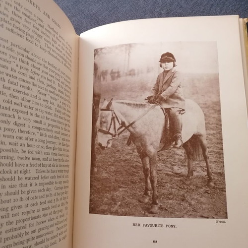 Pets and How to Keep Them book used