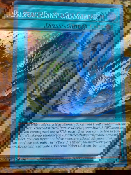 2) Peaceful Planet Calarium