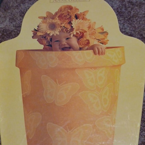 Anne Geddes puzzle 700 pieces used, baby in flowerpot