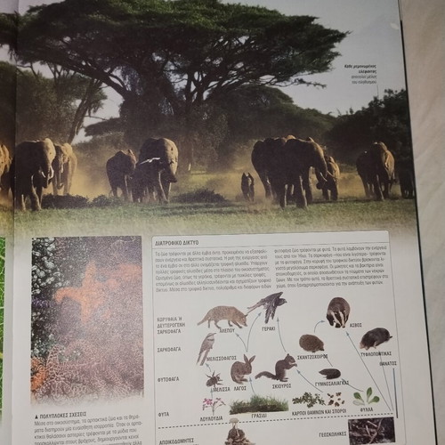 Animal Encyclopedia by Ellinika Grammata and Ta Nea