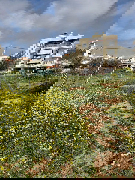 Οικόπεδο κέντρο παλούκια Σαλαμίνα 1000 τ.μ Ευκαιρία!