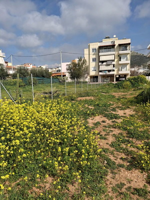 Οικόπεδο κέντρο παλούκια Σαλαμίνα 1000 τ.μ Ευκαιρία!