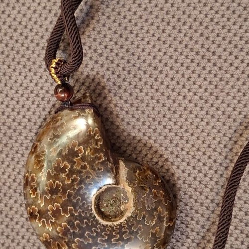 Ammonite pendant necklace, polished, adjustable string, 6cm