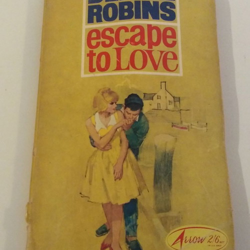 Escape to Love Denise Robins vintage book used