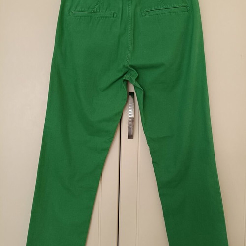 Timberland Thompson Lake green men's chino pants