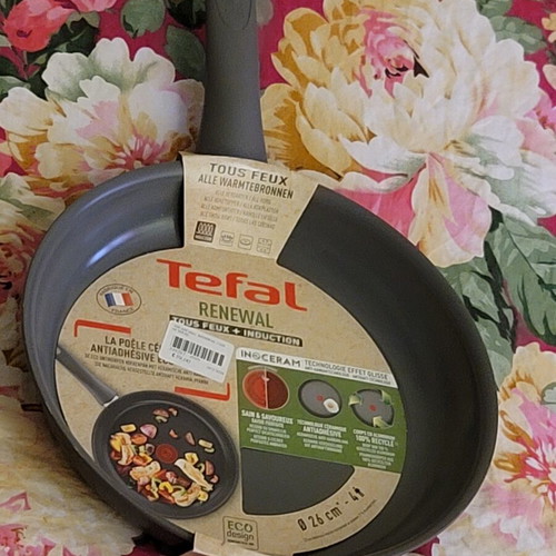 Tefal nonstick frying pan 26 cm