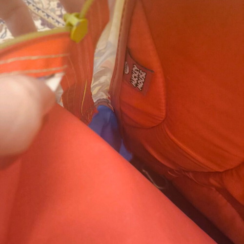 Disney school backpack used with ergonomic back