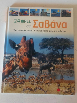 Children's Book "24 Hours in the Savanna" like new edition