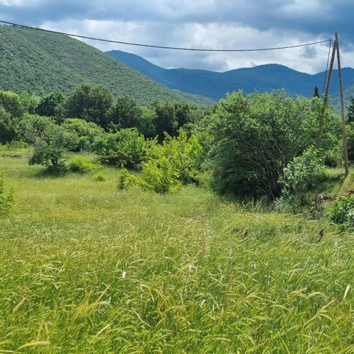 Land plot 3.5 acres in Parnassos with stunning view