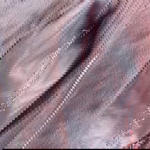 Дамско кафяво сако като ново с естествена кожа и заешка кожа