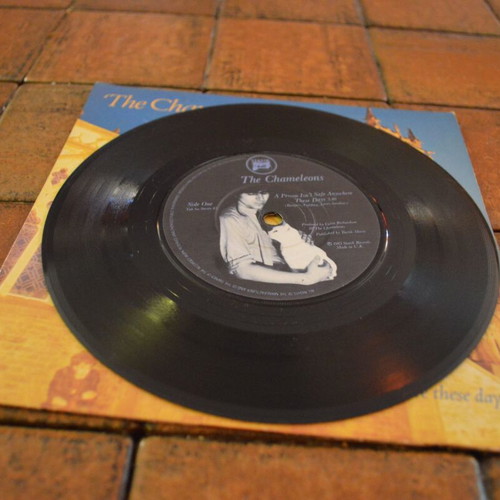 The Chameleons 7'' Single Like New, A Person Isn't Safe Anywhere These Days