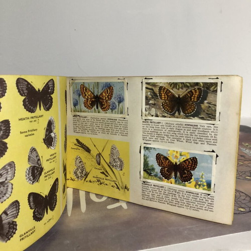 Brooke Bond Album and Cards used, complete British Butterflies set of 50