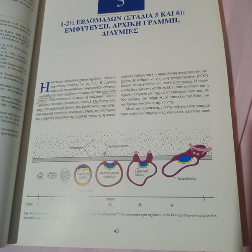 Embryology and Teratology medical book used
