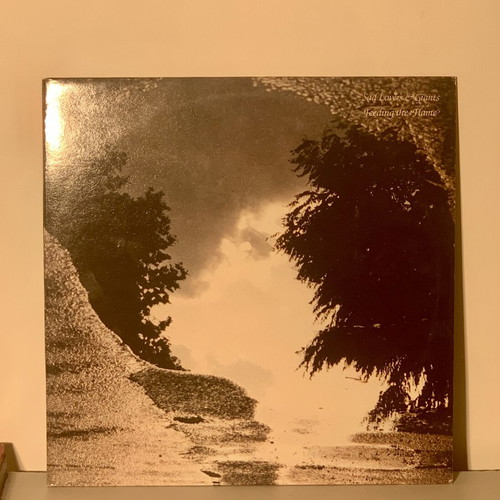 Sad Lovers & Giants Feeding the Flame Vinyl LP 1983 like new