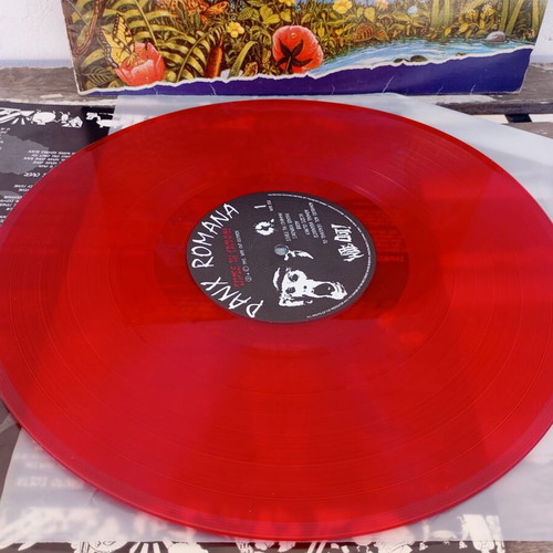 Antidrasi and Panx Romana punk LPs used with cover wear
