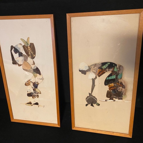 Framed butterfly wing art used, set of 2