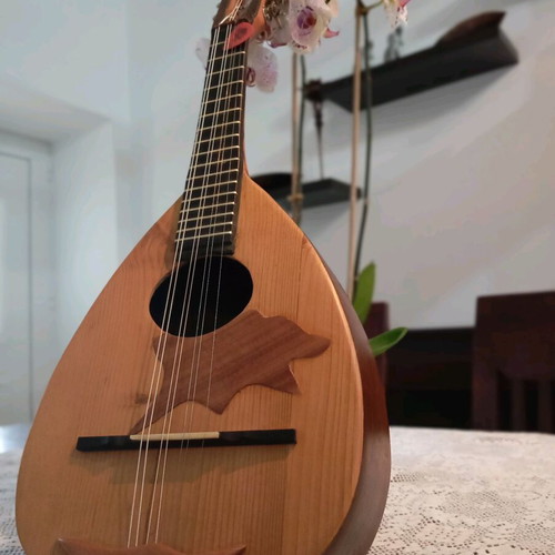 Cretan Mandolin like new, mulberry body and katsrani top