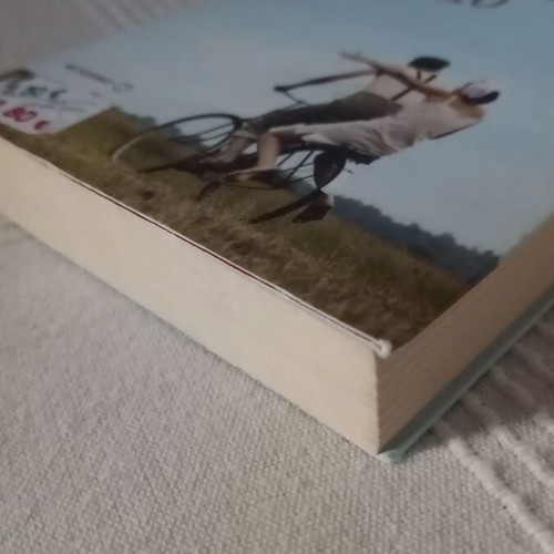 William Trevor Summer idyll like new