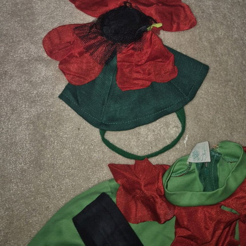 Vintage flower kids carnival costume used, 4 years old