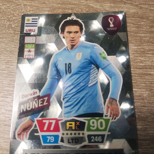 Panini collectible football card new, excellent