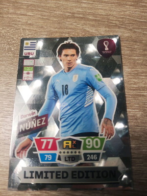 Panini collectible football card new, excellent