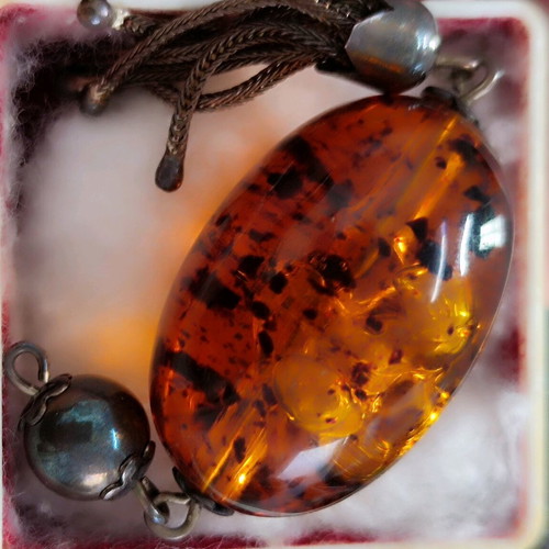 Authentic amber with fossils inside new