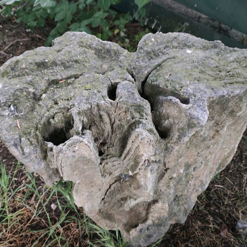 Fossilized tree trunk like new, large size