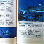  Η Εγκυκλοπαίδεια των Ζώων 1: Ο καρχαρίας και οι μεγάλοι κυνηγοί της θάλασσας