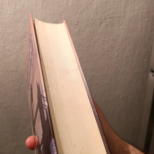 German book Das Vierte Protokoll Roman used