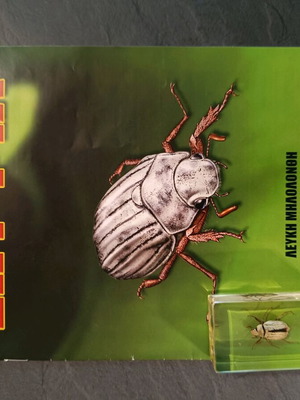 Alithina Zofyfia Issue 15 used