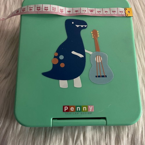 Penny Scallan Mini Bento Box “Dino Rock” children's food container used
