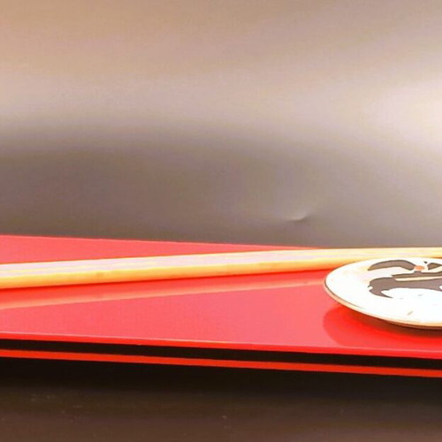 Designer Sushi Serving Tray from Plexiglas 12x28 cm new