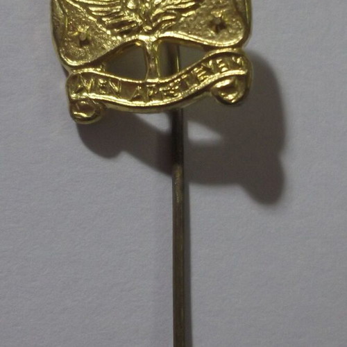Scouting Pin like new, gold color, rising phoenix, "ΑΙΕΝ ΑΡΙΣΤΕΥΕΙΝ"
