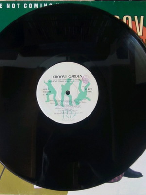 Groove Garden You're Not Coming Home 12" maxi single vinyl record used