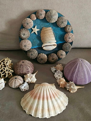 Sea decoration set like new with illuminated frame and purple sea urchins