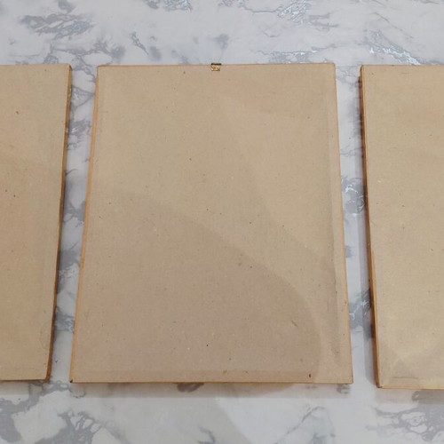 Set of three botanical prints in gold wooden frames