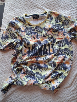 Paco & Co men's t-shirt large multicolored like new