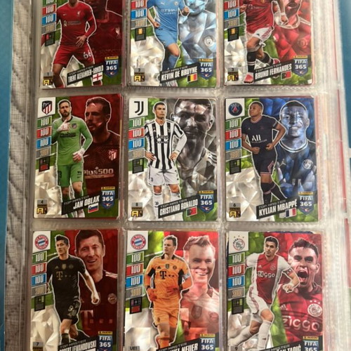 Panini Collectible Top Master Cards 2021-22 like new with protective cover