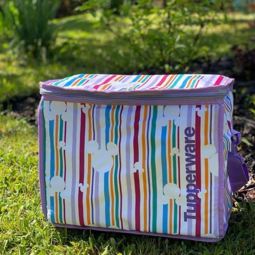 Disney Tupperware Insulated Picnic Bag new