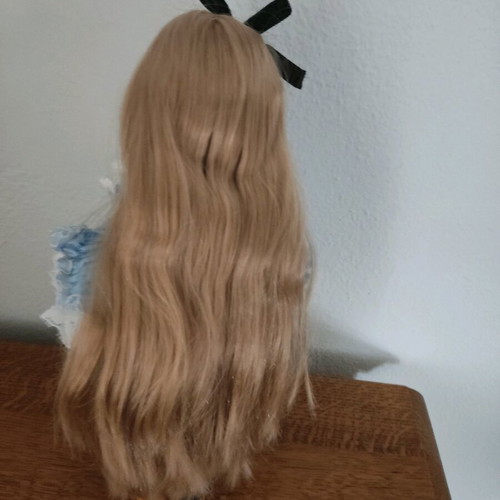 Paola Reina Alice and Wonderland doll new