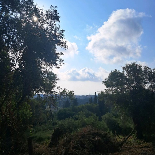 Land 5.6 stremma near Corfu city, buildable