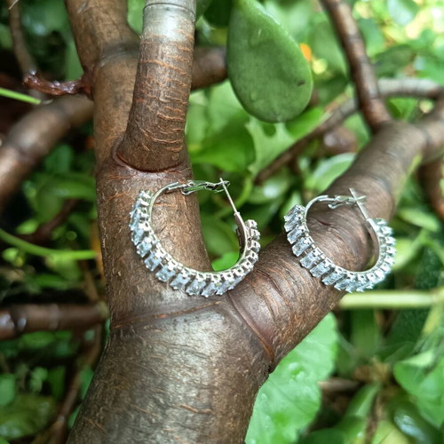 Steel earrings with stones used, silver color