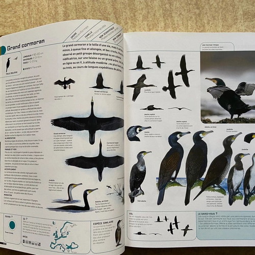 The Great Encyclopedia of European Birds Oiseaux like new, French