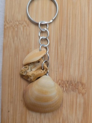 Real shell key chain, handmade