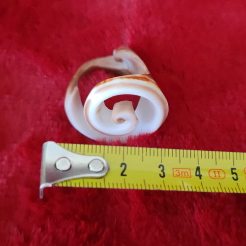 Shell ring used, unique design