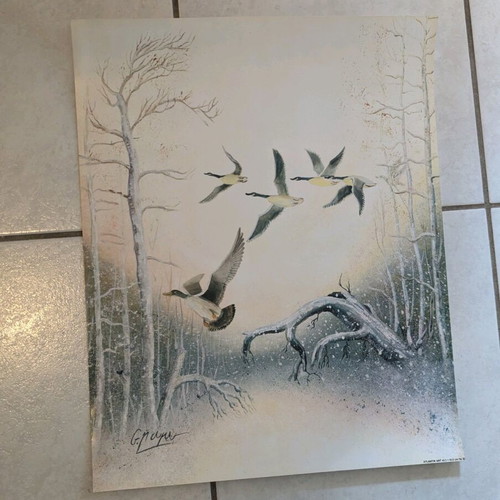 Poster with birds Atlantik art like new