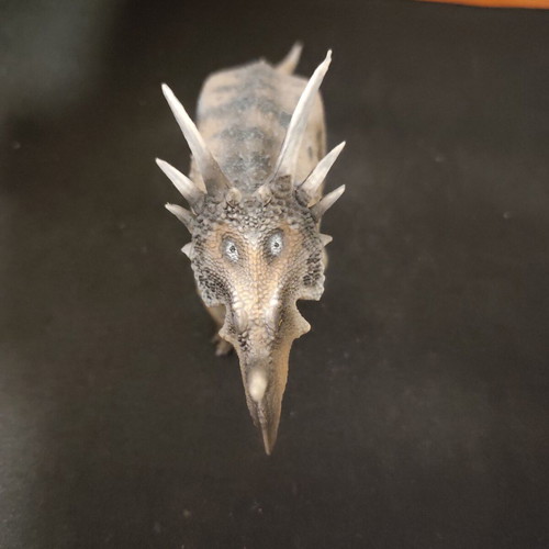 Haolongood Styracosaurus figure 1:35 scale like new PVC
