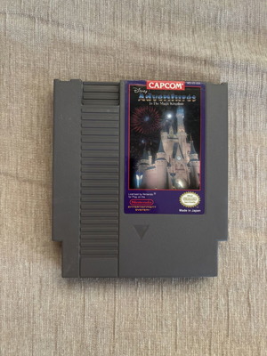 Adventures in Magic Kingdom Nintendo NES game