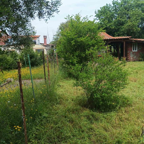 Detached house in Vergia Halkidiki with garden near sea