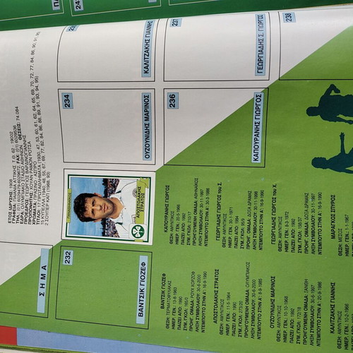 Panini Football 1996 Sticker Album used
